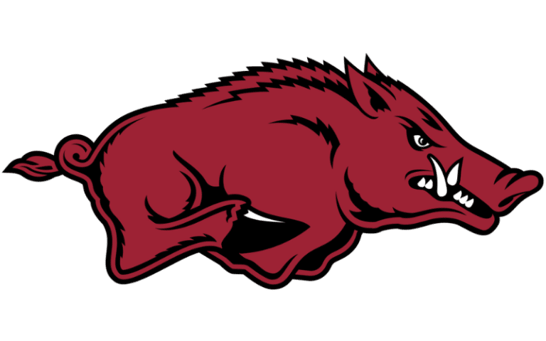 Arkansas Razorbacks Color Codes: Hex, RGB, and Logo
