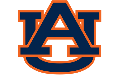 Dayton Flyers Color Codes: Hex, RGB, and Logo