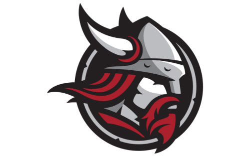 Bethany Lutheran College Vikings Color Codes: Hex, RGB, and Logo