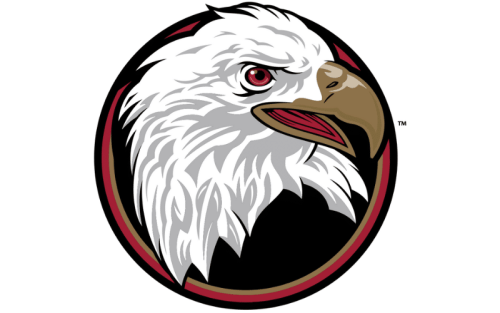 Bridgewater College Eagles Color Codes: Hex, RGB, and Logo