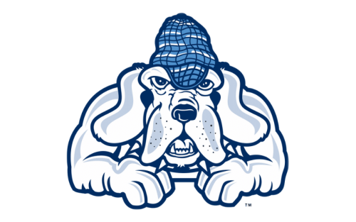 John Jay College Of Criminal Justice Bloodhounds Color Codes: Hex, RGB, and Logo