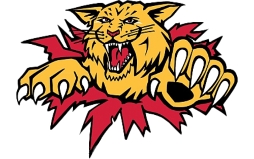 Moncton Wildcats Color Codes: Hex, RGB, and Logo