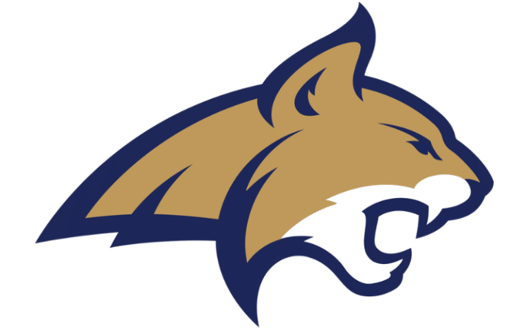 Montana State Bobcats Color Codes: Hex, RGB, and Logo