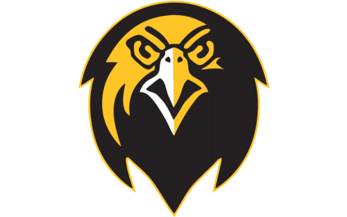 Pfeiffer University Falcons Color Codes: Hex, RGB, and Logo