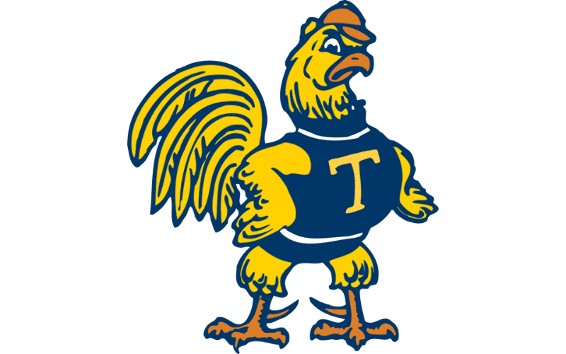 Trinity College Ct Bantams Color Codes: Hex, RGB, and Logo