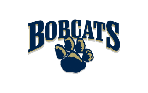 University Of Pittsburgh-Greensburg Bobcats Color Codes: Hex, RGB, and Logo