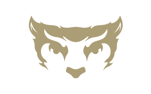 Willamette University Bearcats Color Codes: Hex, RGB, and Logo