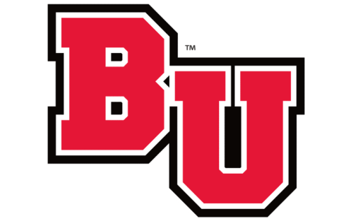 Biola Eagles Color Codes: Hex, RGB, and Logo
