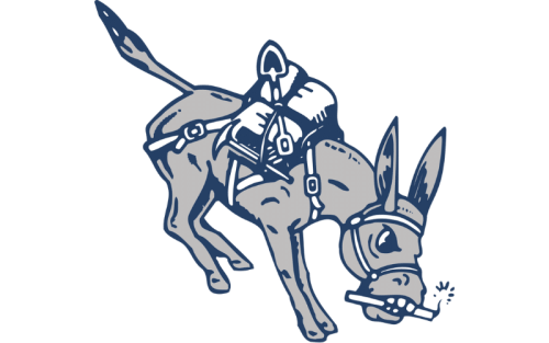 Louisiana State (LSU) Tigers Color Codes: Hex, RGB, and Logo