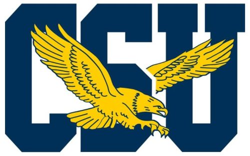 Coppin State Eagles Color Codes: Hex, RGB, and Logo