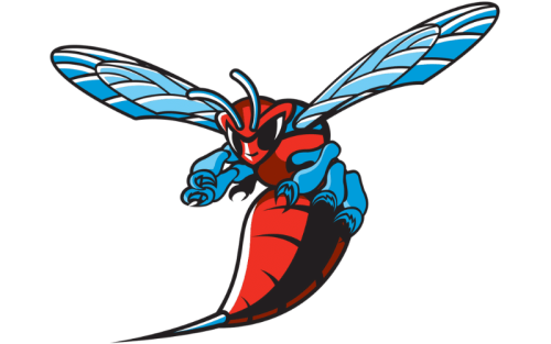 Delaware State Hornets Color Codes: Hex, RGB, and Logo