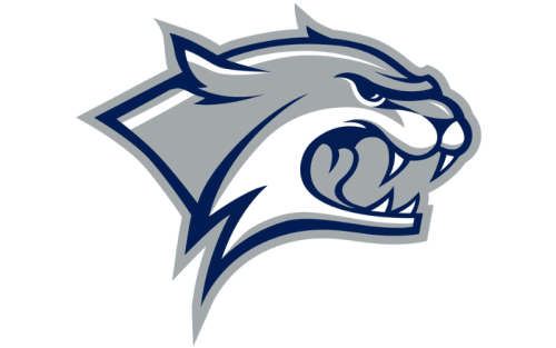 New Hampshire Wildcats Color Codes: Hex, RGB, and Logo