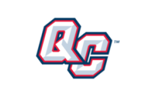 Michigan Wolverines Color Codes: Hex, RGB, and Logo