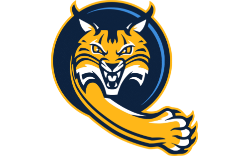 Quinnipiac Bobcats Color Codes: Hex, RGB, and Logo