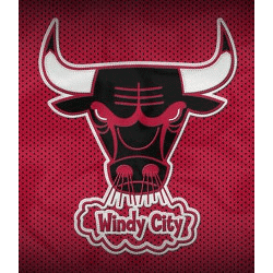 Chicago Bulls logo used 1970-1979